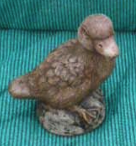 Duckling head up
